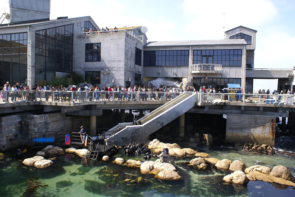 Monterey Bay Aquarium