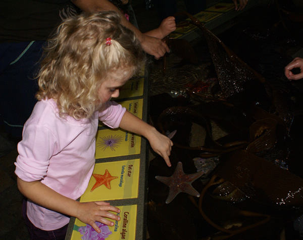 Touch Pool at Monterey Bay Aquarium