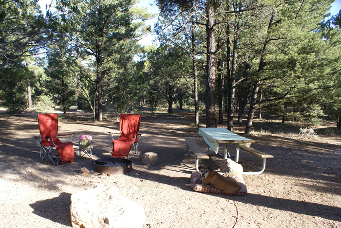 Mather Campground Grand Canyon