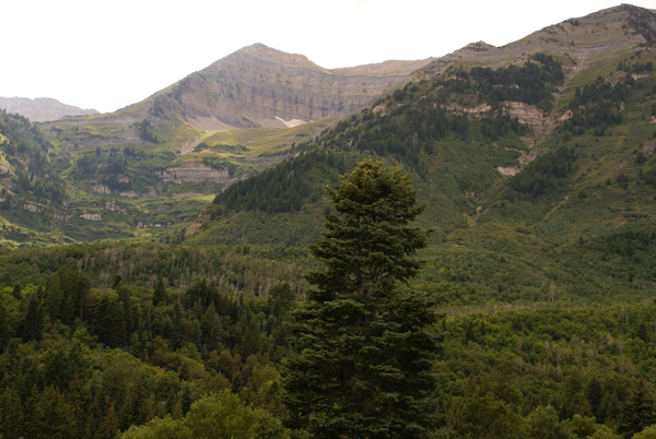 Mt Timpanogos